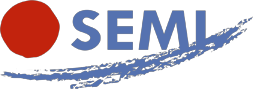 SEMI (Spanish Society of Internal Medicine)