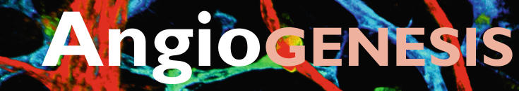 Angiogenesis